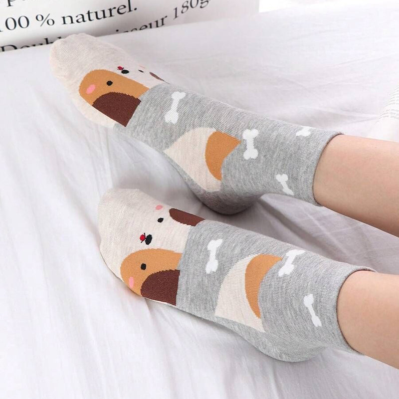 Chaussettes Chien De Dessin Animé