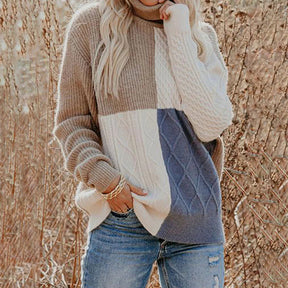 Pull À Col Roulé De Couleur Contrastée