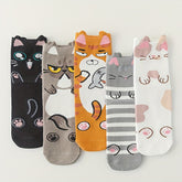 Lot De 5 Paires De Chaussettes De Dessin Animé